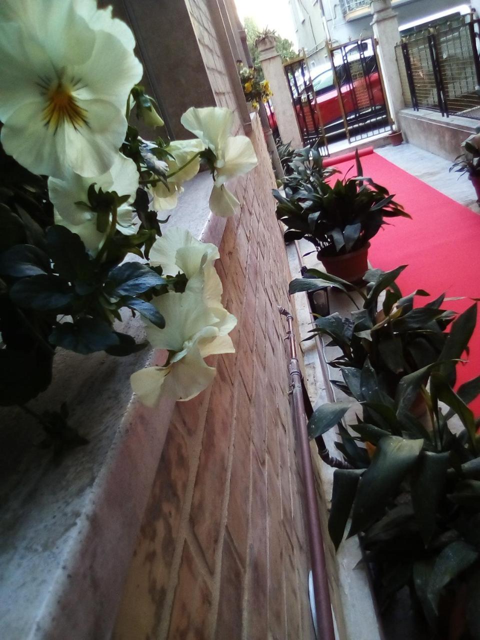 Officina Urban Sleep Bed & Breakfast San Benedetto del Tronto Exterior photo