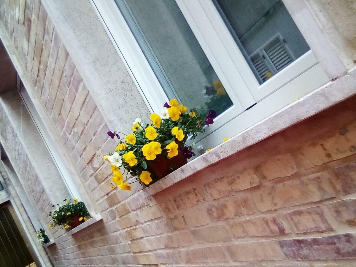 Officina Urban Sleep Bed & Breakfast San Benedetto del Tronto Exterior photo